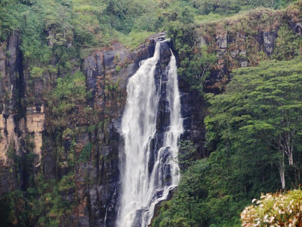 Devon Falls