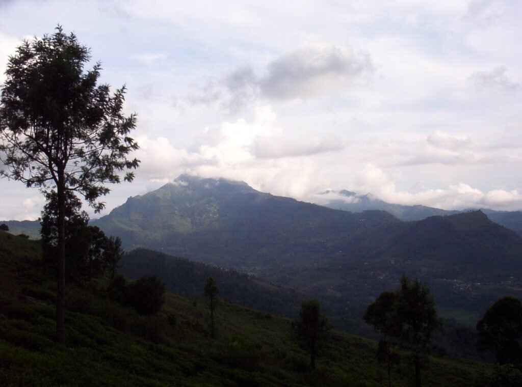 Namunukula