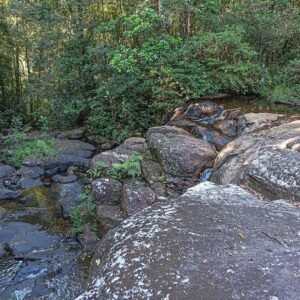 A rocky stream running through Sinharaja Rainforest near Deniyaya, Sri Lanka
