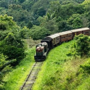 A train on the Hill Country railway near Ella, through green forest