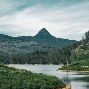 A reservoir among tea and forest below a pointed peak in Sri Lanka